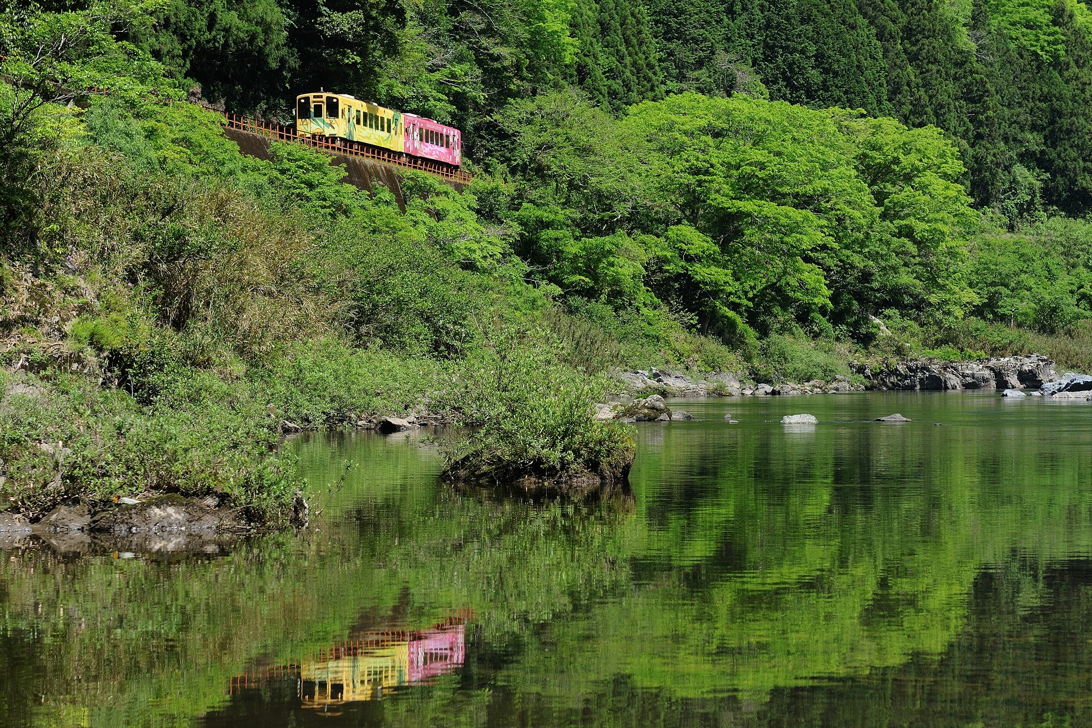 260401【錦川鉄道㈱】　＜写真②＞５月　清流の水面